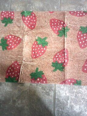 NEW AMAZON DOOR FLOOR PORCH MAT STRAWBERRY DESIGN SOFT POLYESTER NON-SKID BACK
